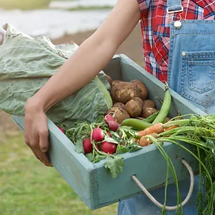 Urban Farming